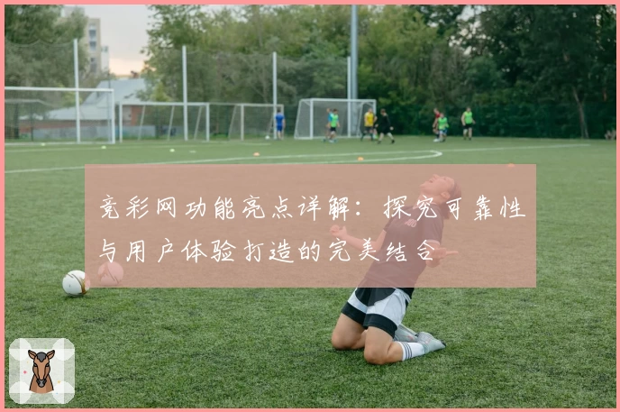 竞彩网功能亮点详解：探究可靠性与用户体验打造的完美结合