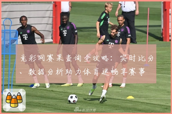 竞彩网赛果查询全攻略：实时比分、数据分析助力体育迷畅享赛事
