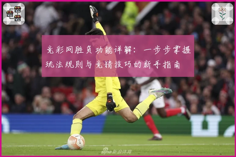 竞彩网胜负功能详解：一步步掌握玩法规则与竞猜技巧的新手指南