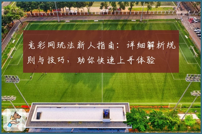 竞彩网玩法新人指南:详细解析规则与技巧,助你快速上手体验